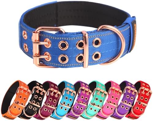 Heavy Duty Dog Collar for Medium Large Dogs,Blue,Large