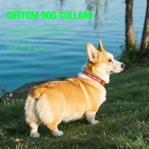 Personalized Dog Collar, Reflective Embroidered Nylon Collar with Name