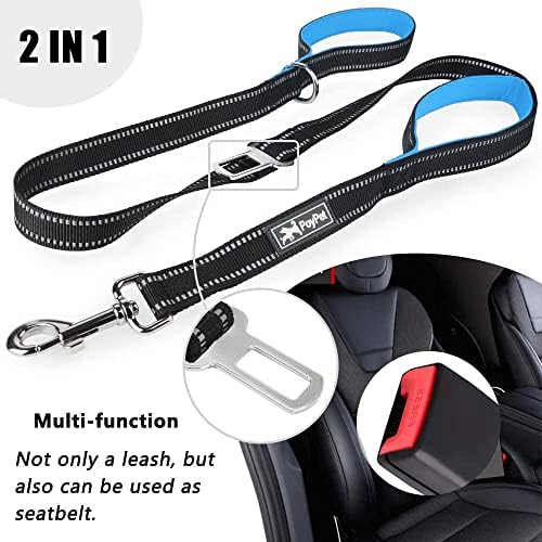 PoyPet 5 Feet Dog Leash with 2 Cushioned Handles (Blue)