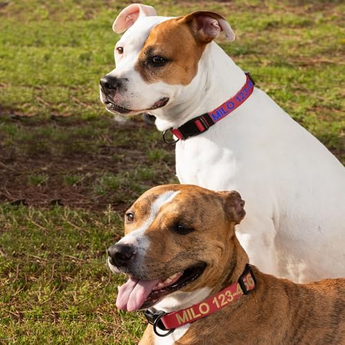 Pawtitas Personalized Dog Collar Extra Small Dog Collar Embroider with Name Phone Number Puppy Collar Adjustable Customized Collar for Extra Small Dogs Breeds Puppy Red Dog Collar