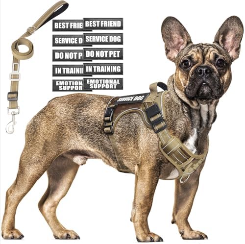 Tactical Dog Harness and Leash Set with 10 Patches for Medium Dogs
