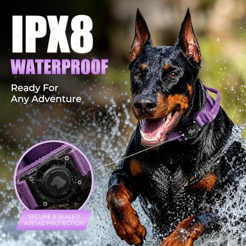Tactical AirTag Dog Collar with Holder for Medium Large Dogs, Purple, M
