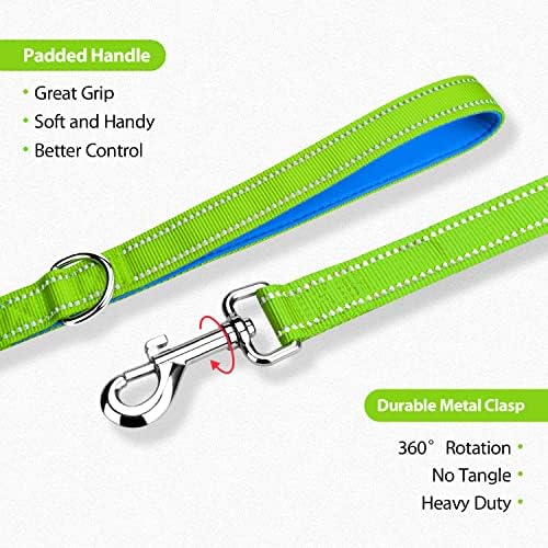 PHOEPET 5 Feet Dog Leash - Dual-Side Reflective - Soft Padded Handle