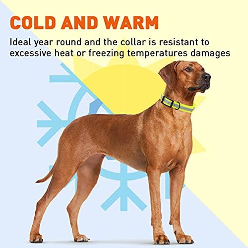 Dogline Biothane Translucent Reflective Waterproof Dog Collar Strong Coated Nylon Webbing with Black Hardware Odor- Proof for Easy Care Clean Fits Small Medium or Large Dogs - Yellow 1" W x 22"-25" L
