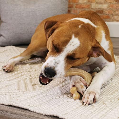 Nylabone Strong Chew Gourmet Style Wishbone Dog Chew Toy, Chicken Flavor