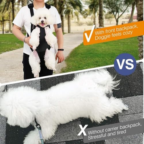 Lightweight Pet Backpack Carrier for Small Dogs & Cats - Easy-Fit Adjustable Straps, Basic Legs-Out Design, Durable for Daily Use (Fits Pets Under 15lb) (Yellow-White Color-Blocked, Large)