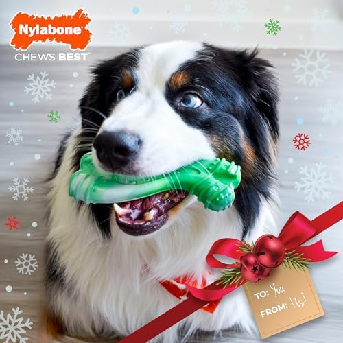 Nylabone Power Chew Holiday Curvy Dental Bone Dog Chew Toy, Large