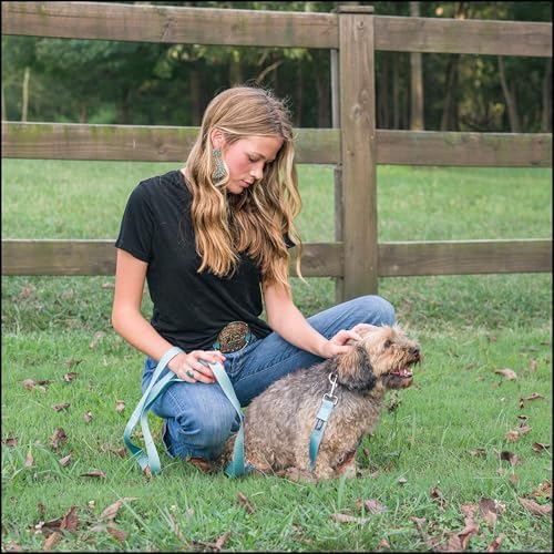 Country Brook Petz - Everyday Nylon Dog Collar for Large, Medium, and Small Dogs and Puppies - for Everyday Use in 30+ Colors (3XS, 3/8 Inch Wide, Ocean Blue)