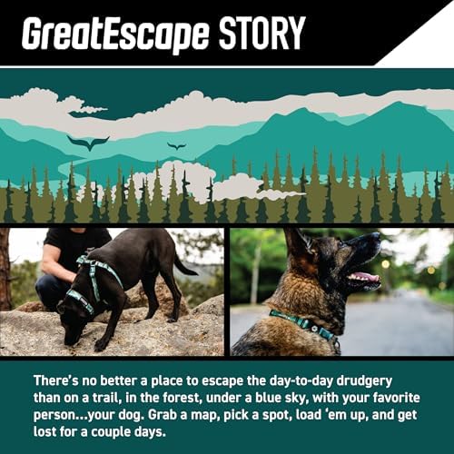 GreatEscape Dog Collar S