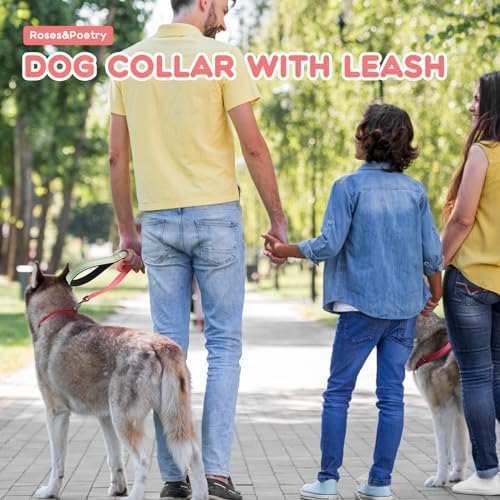 Roses&Poetry Pink Small Dog Collar and Leash Set, Reflective Puppy Leash and Collar Sets, Adjustable Durable Collars with Leashes for Puppies Dogs Girl (Pink Gradient-S)