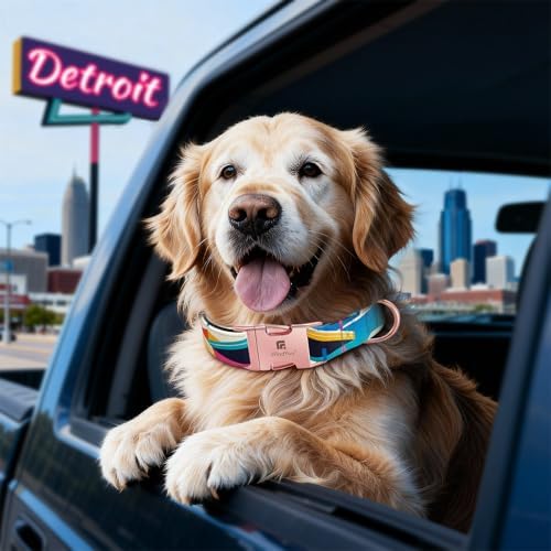 Reflective Dog Collar for Large Dogs, Artistic Design Detroit-L