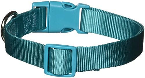Zack & Zoey 1" Wide Nylon Dog Collar, Fits Necks 18" to 26", Bluebird