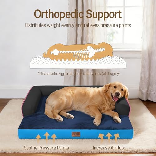 Comfort Expression Orthopedic XL Dog Bed for Large and Extra Large Dogs