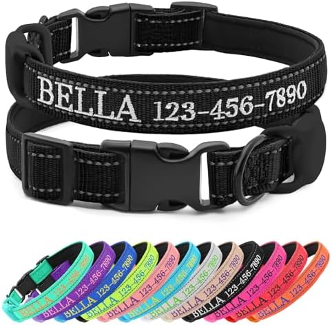 Personalized Nylon Dog Collar with Embroidered Name, Black