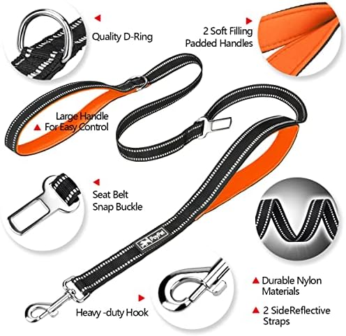 PoyPet 5 Feet Dog Leash with 2 Cushioned Handles (Orange)