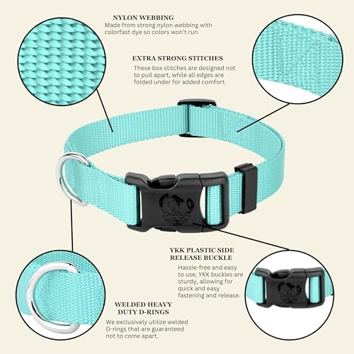 Country Brook Petz - Everyday Nylon Dog Collar for Large, Medium, and Small Dogs and Puppies - for Everyday Use in 30+ Colors (Large, 1 Inch Wide, Light Cyan)