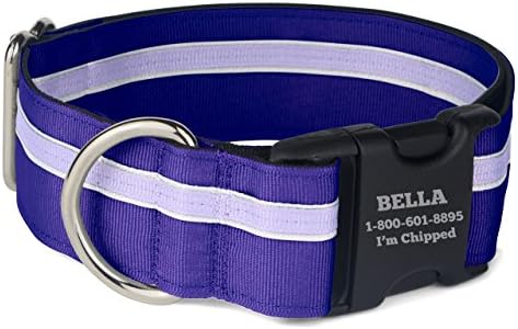 If It Barks Personalized 1.5" Striped Dog Collar - Engraved Name - Custom Size, Grape Crush