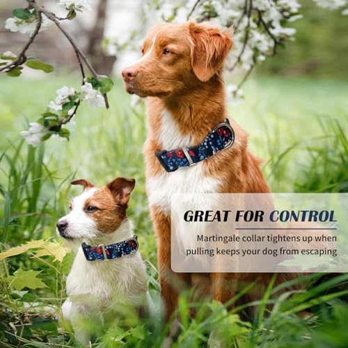 Hikiko Martingale Collar for Dogs with Special Pattern,Adjustable,M