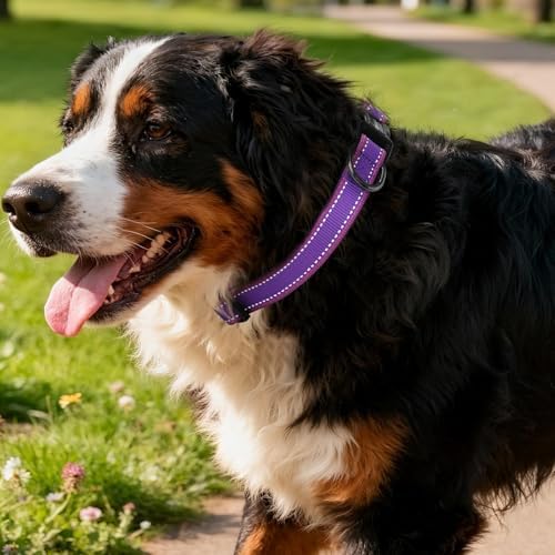 Kazazoo Large Dog Collar, Reflective Nylon Collar,No Pull,Heavy Duty Collar,Soft Neoprene Breathable & Quick Release Buckle Dog Collars for Labrador Retriever,German Shepherd,Golden Retriever Purple-L