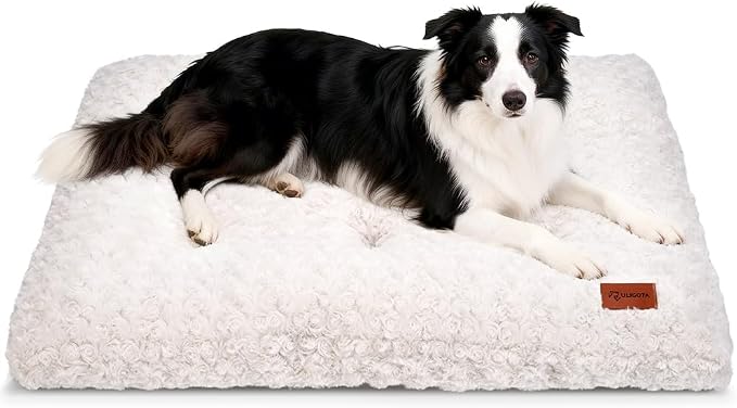 Dog Bed Crate Pad - Rosette Pattern White Velvet Pet Bed Anti-Slip Comfy Kennel Pad for Crates Rosette White L