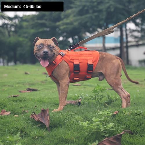 ICEFANG No Pull Tactical Dog Harness for Medium Dogs,Adjustable Dog Vest
