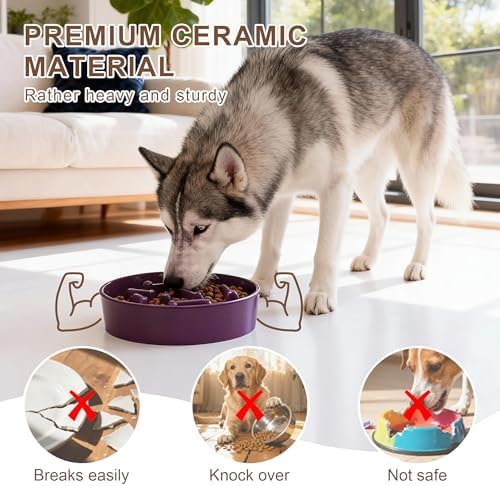Ceramic Slow Feeder Dog Bowls, Ceramic Slow Feeder Maze Dog Food Bowl, Slow Eating Dog Bowl and Slow Feeder Dog Bowl Anti-Choking for Daily Pet Feeding （Purple Bone）