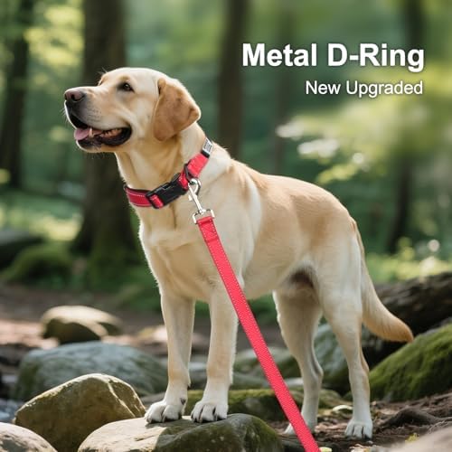 Joytale Personalized Dog Collar with Name Plate Built-in for XLarge Dogs