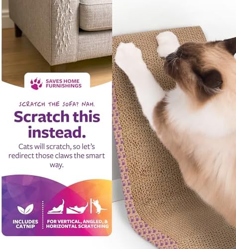 SmartyKat Scratch Ladder Angled Cat Scratcher with Catnip Infusion Technology, Versatile for Floor or Wall Use