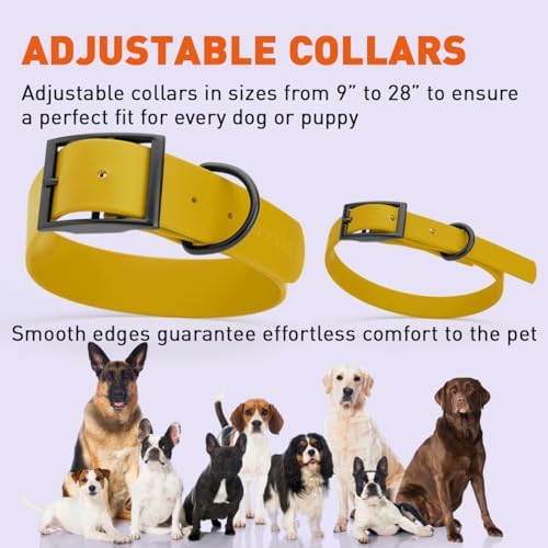 Dogline Biothane Waterproof Dog Collar Strong Coated Nylon Webbing with Black Hardware Odor- Proof for Easy Care Easy to Clean High Performance Fits Small Medium or Large Dogs, Treasure Gold