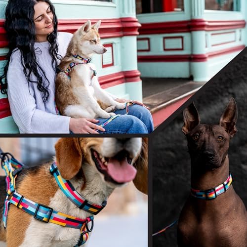 Wolfgang Venture Dog Collar Mixtape M