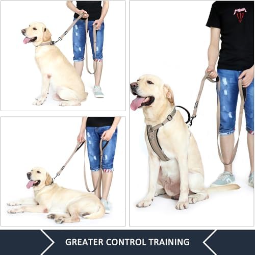 Plutus Pet Double Handle Dog Leash, 4 FT Long, for Medium Large Dogs