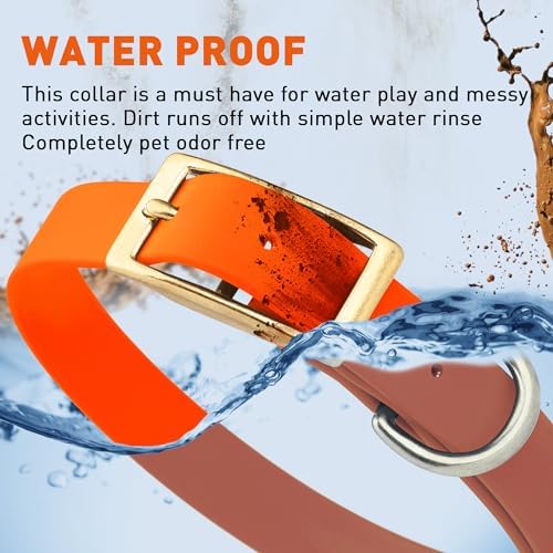 Viper Biothane Heavy Duty Waterproof Dog Collar Strong Coated Nylon Webbing w/Solid Brass Hardware Odor-Proof Easy to Clean High Performance Fits Small Medium or Large Dogs, Hunter Orange
