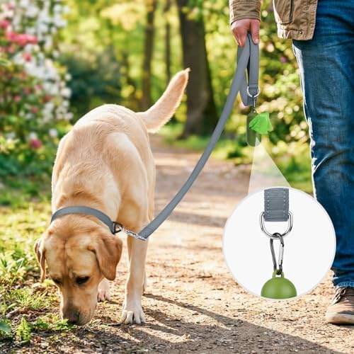 Joytale Reflective Dog Leash for Small Dogs, 5 FT x 3/4", Gray