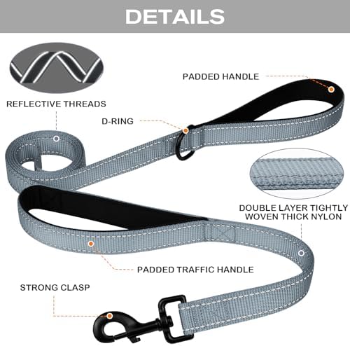 Joytale Dog Leash for Large Dogs that Pull, Double Handle, 6FT, Gray