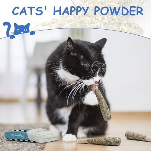 Nocciola 3 Pack Catnip Toys for Cats, Funny Cat Toys Filled with 100% Pure Organic Catnip, Safe Kitten Teething Chew and Kicker Toys, Stress Relieving Fun for Indoor Cats, Blue