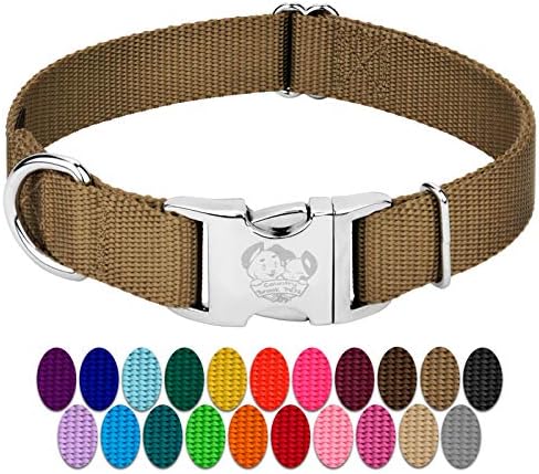 Country Brook Petz - Premium Nylon Dog Collar with Metal Buckle for Small Medium Large Breeds - 30+ Colors (Medium, 3/4 Inch, Coyote Tan)