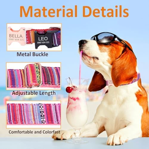Personalized Bohemian Dog Collar