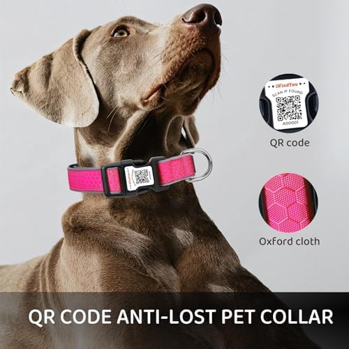 Personalized Dog Collar with QR Code Dog Tag, Oxford Rose Red L