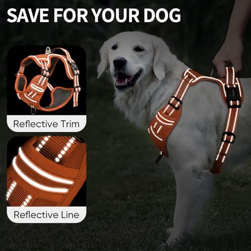 HEELE Dog Harness for Large Dogs No Pull Dog Vest Harness for Large Dog with Soft Padded Handle Reflective for Outdoor Training, Pumpkin Orange, XL