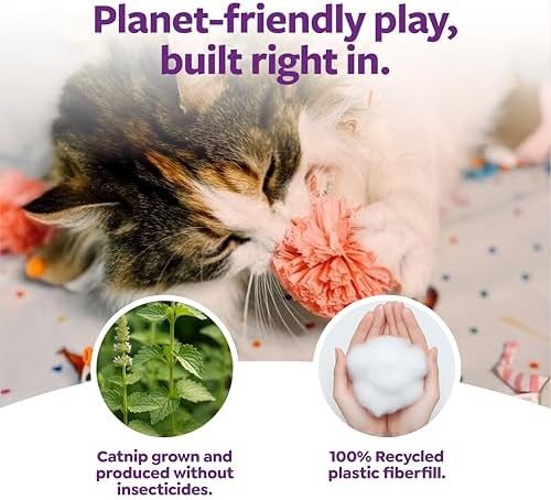 SmartyKat (16 Set Bundle) Birthday Bash Variety Pack Catnip Cat Toys - Multi Color, Set of 16