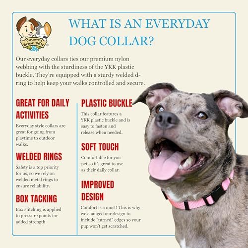 Country Brook Petz - Everyday Nylon Dog Collar for Large, Medium, and Small Dogs and Puppies - for Everyday Use in 30+ Colors (Small, 3/4 Inch Wide, Pink)