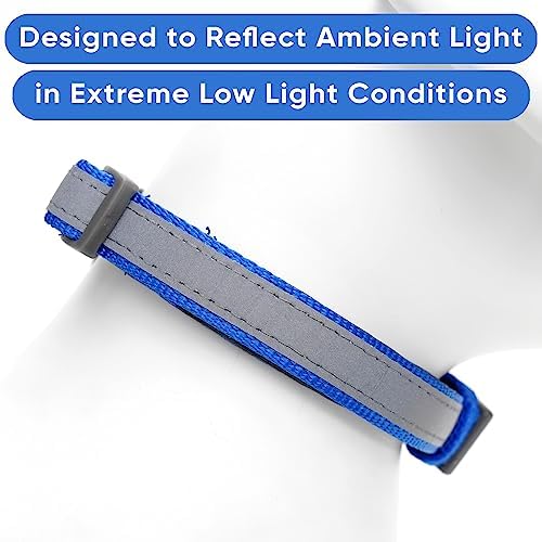 Pawtitas Personalized Dog Collar Reflective Dog Collar Padded Dog Collar with Name Phone Number Puppy Collar Adjustable Customized Collar for Medium Dogs Breeds | Customized Blue Medium Dog Collar