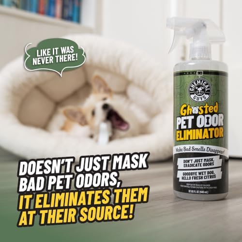 Chemical Guys, Ghosted Pet Odor Neutralizer Spray, Citrus Scent, 32 fl oz