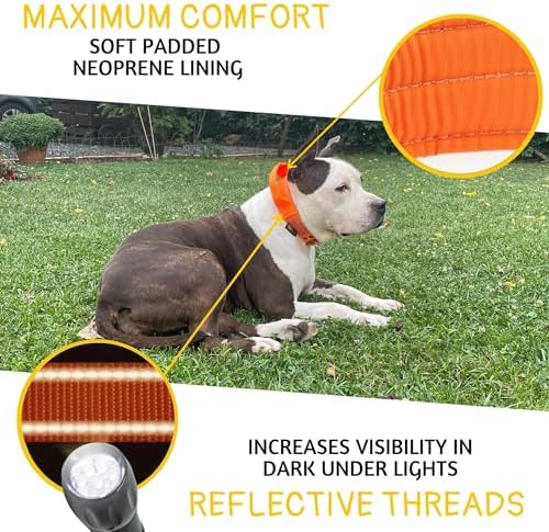 ADITYNA Heavy Duty Dog Collar for Extra-Large Dogs with Traffic Handle