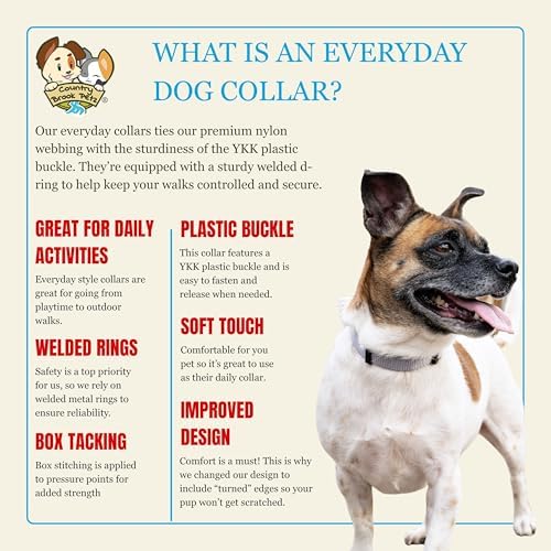 Country Brook Petz - Everyday Nylon Dog Collar for Large, Medium, and Small Dogs and Puppies - for Everyday Use in 30+ Colors (2XS, 3/8 Inch Wide, Silver)