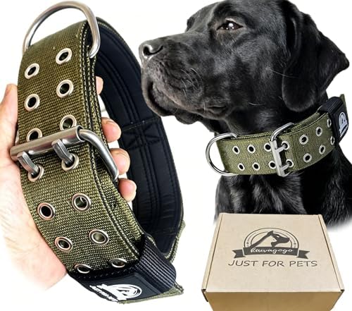 4-Layer Nylon Dog Collar,Heavy Duty for Large Dogs,Army Green L