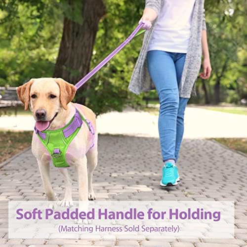 PHOEPET 5 Feet Dog Leash - Dual-Side Reflective - Soft Padded Handle