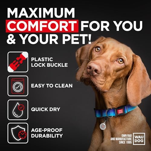 WAUDOG Nylon Dog Collar & Airtag Holder Adjustable Small Medium Large Dogs