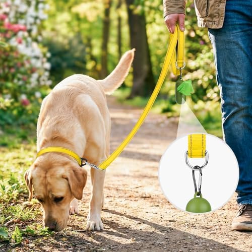 Joytale Reflective Dog Leash for Medium & Large Dogs, 5 FT x 1", Yellow