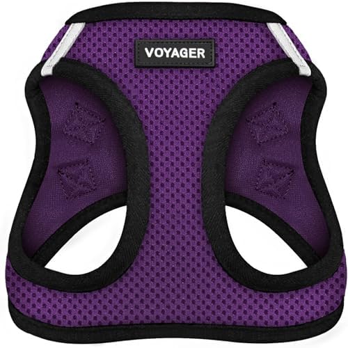 Voyager Step-in Air Dog Vest Harness - Purple/Black Trim, Large